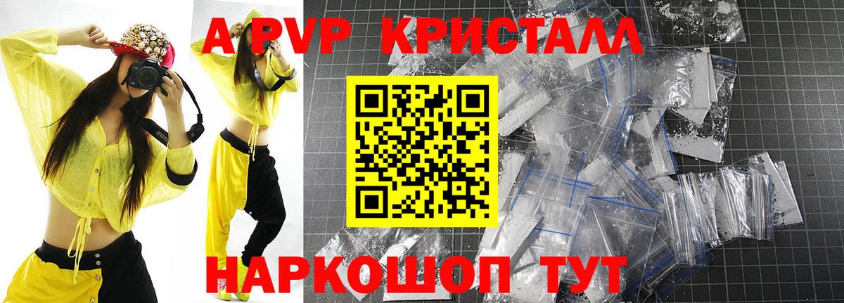 A PVP СК КРИС Волгодонск